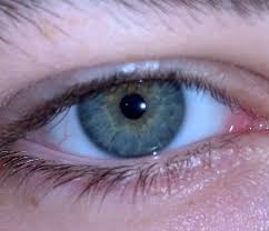 Central heterochromia is when there is an inner ring that is a different color than the outer area of the iris. Was Told To Post Here Gray W Central Heterochromia Eyes