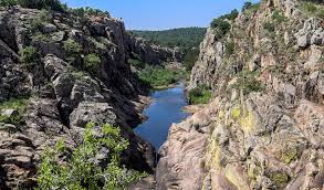 Image result for Pearsonia