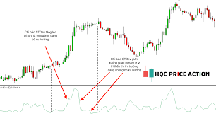 Standard Deviation là gì? Tìm hiểu về chỉ báo Standard Deviation - Học  Price Action