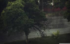 We have collected a large collection of animated gif images, so you enjoy the rainy sadness. Anime Trees And Rainy Day Wallpapers Wallpaper Cave