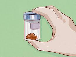 This means you'll have to administer the drops or syrup about 7 days before their have their injection. How To Deworm A Puppy 13 Steps With Pictures Wikihow
