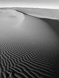 21 Powerful Black And White Photos Of The Desert In 2021 Black And White Landscape Black And White Pictures Black And White Desert