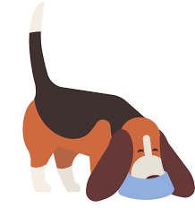 Does it cost money to foster a dog? Donate Almost Home Rescue