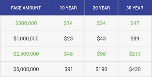 metlife life insurance in 2019 a comprehensive review