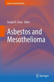 It was once used widely. Testa Asbestos And Mesothelioma 1 Auflage 2017 Beck Shop De