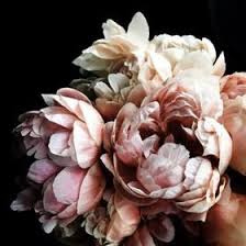 olivia quickel (oliviaquickel) - Profile | Pinterest