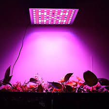 Top 5 Best 45 Watt Led Grow Lights Review For You Grow Lights For Plants Grow Lights Best Led Grow Lights