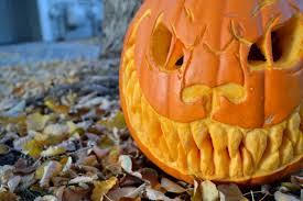 50+ free stencils that will take your pumpkin carving to the next level. Cheshire Pumpkin Corvus Tristis Science Craft And An Odd Bird