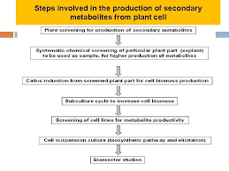 Plant cell culture for production of secondary metabolites. Bioconversion Technologies Of Animal Cell And Plant Culture