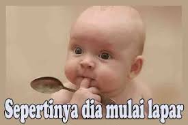 Di sini kamu bisa download kumpulan stiker whatsapp lucu! Pin Di Gambar Komentar Facebook Lucu Dan Gokil