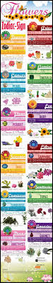 It spans from 90° to 120° celestial longitude. Flowers For Your Zodiac Sign Visual Ly