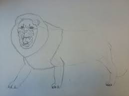 Mijn Leeuw De Manen En De Poten Waren Lastig En Niks Was Makkelijk Leeuw Lion Man