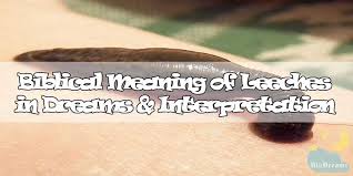 It could indicate an inner conflict or a betrayal. 8 Biblical Meaning Of Leeches In Dreams Interpretation