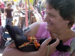 Richmond Wildlife Center staff pretend to be red foxes