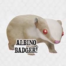 The best gifs are on giphy. Second Life Marketplace Schadenfreude Albino Badger