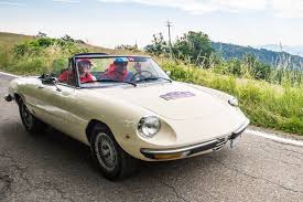 Image result for Avorio 1982 Alfa-Romeo