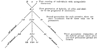 The Project Gutenberg Ebook Of Pedagogical Anthropology By