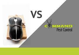 We are proud members of the bbb in good standing, and we also belong to both the arkansas pest management association and the national pest management association. Arkansas Pest Control Diy Vs Professionals Command Pest Control
