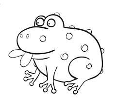 Meerschweinchen kann wie allen anderen tieren langweilig werden. Kostenlose Malvorlage Tiere Dicke Krote Zum Ausmalen
