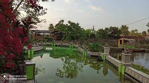 Banyak lowongan kerja garut, sebanyak 25 loker garut by lowongan kerja 15. Desa Wisata Edukasi Taman Bahagia Wanaraja Garut Min Co Id