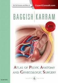 Anatomy by dr muhammad bin zulfiqar; Atlas Of Pelvic Anatomy And Gynecologic Surgery Von Michael S Baggish Gebundene Ausgabe Gunstig Kaufen Ebay