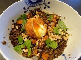 J'aimerais tester les lentilles de couleur bleues. Recettes Vegetariennes De Salade De Lentilles