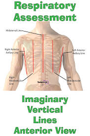 Nursing Health Assessment Of The Respiratory System Respiratory Therapist Student Nursing Assessment Respiratory Therapy Student