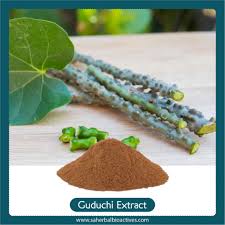 Image result for Tinospora