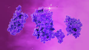 Image result for Prolactin