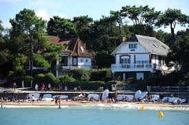 Hotels near rue de la chaise. Bois De La Chaise Noirmoutier Island S Forest