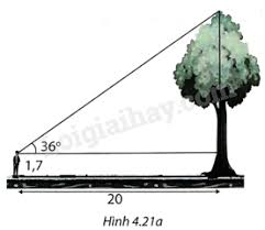 Một người đứng cách gốc cây 20m nhìn thấy ngọn cây với góc