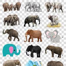 卡通大象简笔画图片大全卡通象cartoon elephant stick figure picture daquan cartoon icon cartoon icons cartoon elephant kids rugs