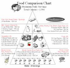 Image result for Recommend Daily Food Pyramid