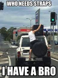 Hamilton Movers Best Moving Company In Hamilton Morrison Moving Funny Pictures Funny Meme Pictures Humor
