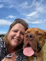 Cavalli's joint health and stroke recovery