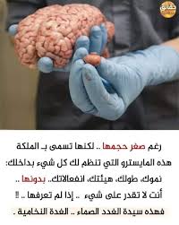 معلومة Information ما هي أسباب التعب والارهاق طرق علاج التهاب اللوزتين ما هي عوارض ضربة الشمس طريقة التخلص من الغازات بالبطن Fittness Cross Stitch Hair Beauty