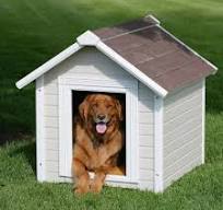 Solid Wood Luxurious Dog House with Classic Asphalt Shingle Roof