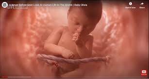 Students could see pregnancy video produced by anti-abortion group under  advancing bill