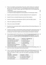 Image result for Elephantorrhiza suffruticosa