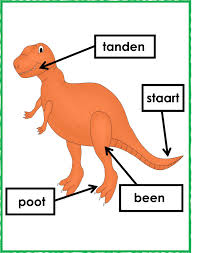 Werkblad Geletterdheid Dino S Dinosaurus Dinosaurussen Thema