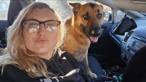 Does anyone know who the owner of this dog? He has been in my yard all day.  Very sweet. On the collar it says Mill Village Vet but no owner info.  Brought