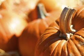 M coloring page elegant printable alphabet coloring pages click the download button to see the full image of october coloring pages download, and download it for. October Worksheets And Coloring Pages