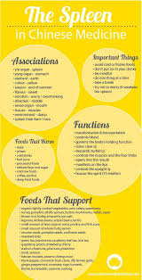 Taking Care Of Your Spleen Will Do Way More Than Improve Your Digestion By Emma Suttie Tcm Traditional Chinese Medicine Chinese Medicine Chinese Medicine Diet