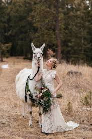 A Rustic Chic Llama Wedding At Younger Ranch Wedding Flower Crown Wedding Couple Photography Poses