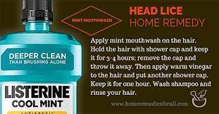 Other remedies for lice although coconut oil may kill lice, it can't completely kill the nits that lice lay in your hair. Pin On Hair