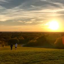 Sofia karlsson 21 views5 year ago. 120 Av 365 277 Skimmer En Lundabos Betraktelser