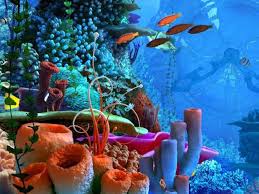 Gambar pemandangan laut selain gambar pemandangan bawah laut, gambar lautan lepas juga tidak kalah indahnya. Gambar Pemandangan Bawah Laut Yang Indah
