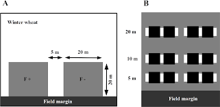 Prompt service.* las vegas boulder city downtown enterprise henderson mesquite north las vegas pahrump paradise rhodes ranch silverado ranch sloan spring valley summerlin sunrise manor whitney winchester and the surrounding area. Mixed Effects Of Ecological Intensification On Natural Pest Control Providers A Short Term Study For Biotic Homogenization In Winter Wheat Fields Peerj