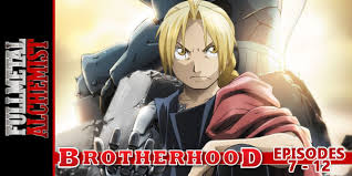Fullmetal Alchemist Brotherhood 7 12 Hogan Reviews Fullmetal alchemist, fullmetal alchemist (2009), fma synopsis: fullmetal alchemist brotherhood 7 12