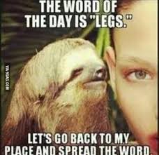 Check spelling or type a new query. I Love Sloth Memes 9gag